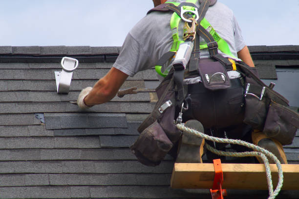 Best Metal Roofing Installation  in Frankfort, MI