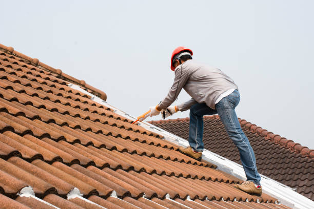Best Sheet Metal Roofing  in Frankfort, MI