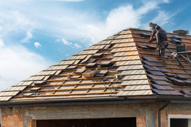 Best Wood Shake Roofing  in Frankfort, MI