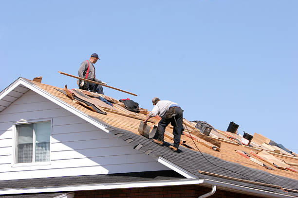 Best Slate Roofing  in Frankfort, MI