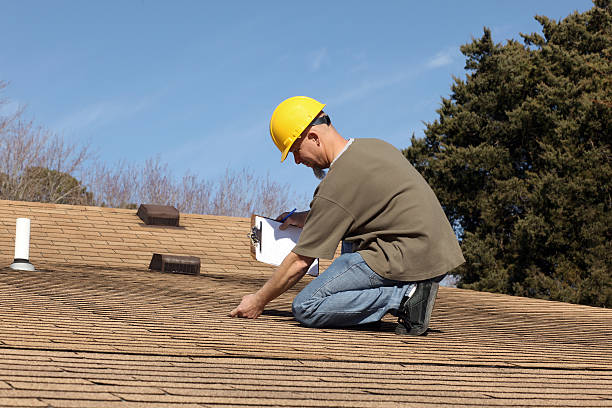 Best Roof Replacement  in Frankfort, MI